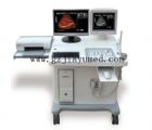 JY-C6  Digital Deluxe ultrasound machine